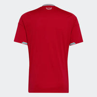 Maillot Sélection Pays de Galles I - 26/27