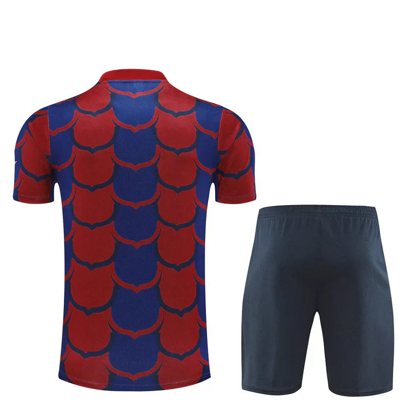 Camisole et Shorts Barcelona 24/25 - Avant le match