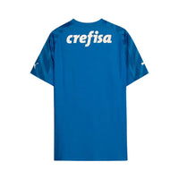 Maillot Palmeiras Gardien 24/25 - Bleu